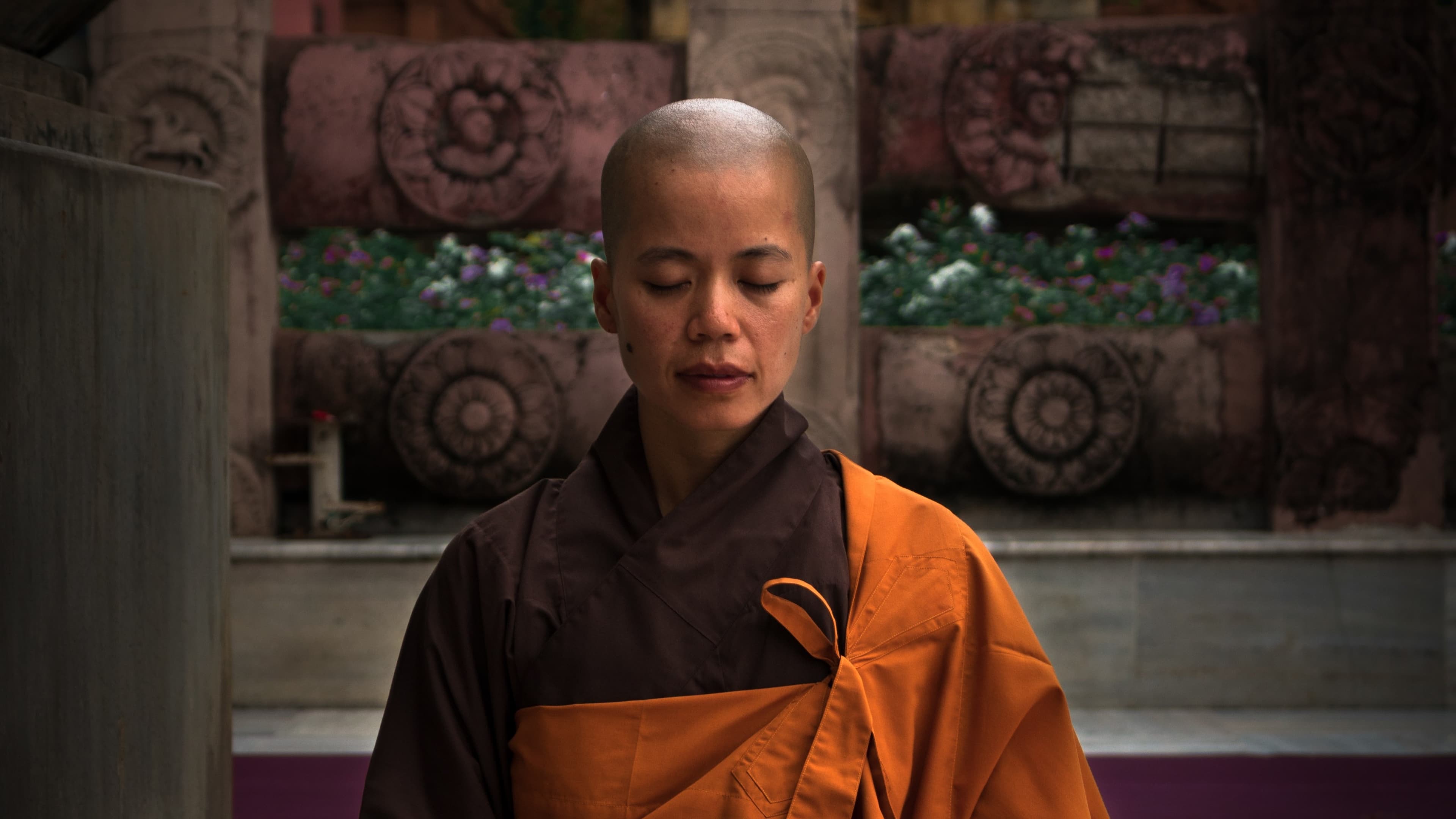 A monk meditates in peace